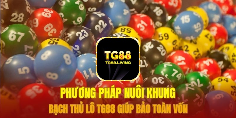 Phương pháp nuôi khung bạch thủ lô TG88 giúp bảo toàn vốn 