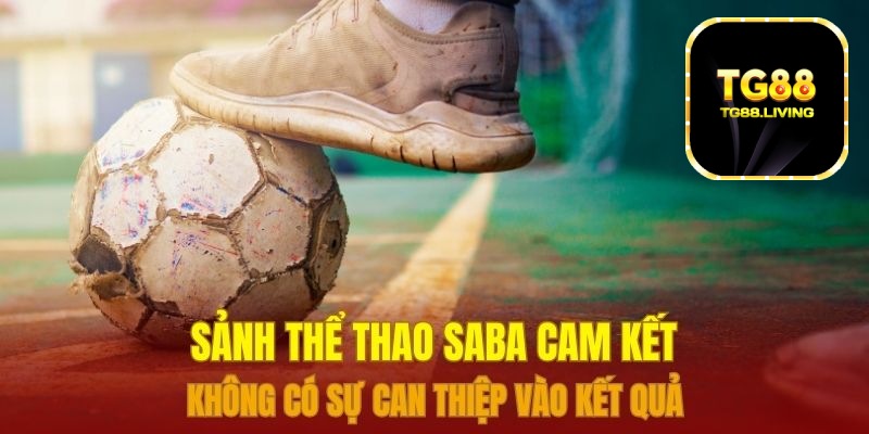 Sảnh thể thao Saba cam kết không có sự can thiệp vào kết quả